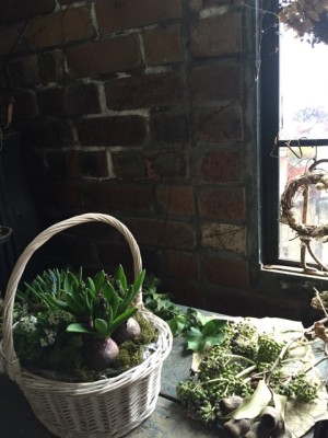 すべてが芽吹く季節♪